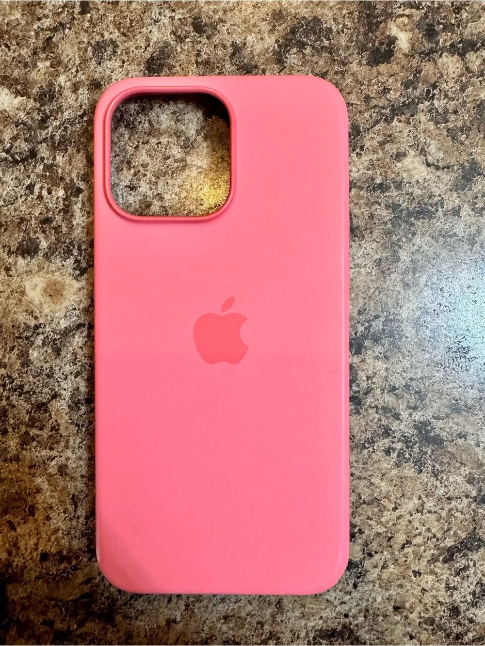 iPhone 15 Pro Max Silicone Case